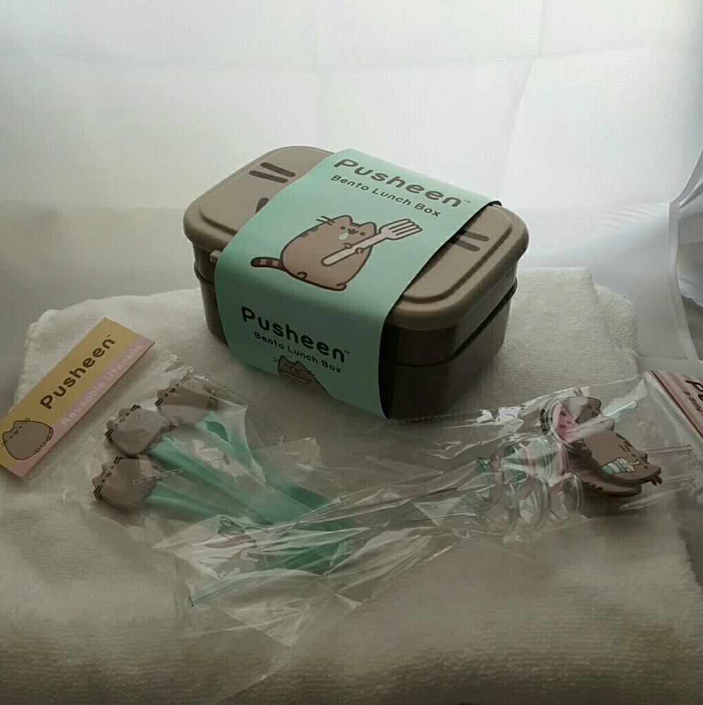 Pusheen bento box, curly straws and silverware